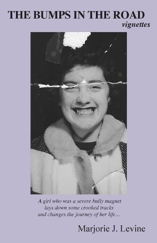 THE BUMPS IN THE ROAD vignettes