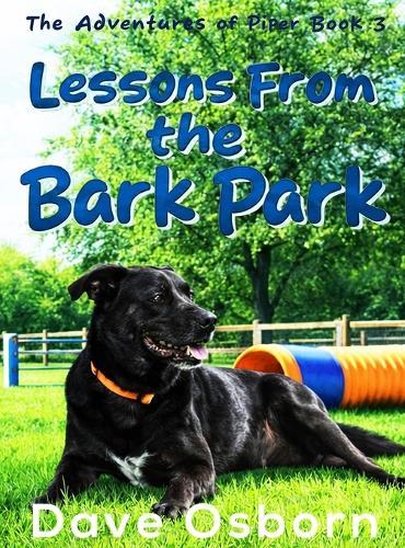 Lessons From the Bark Park