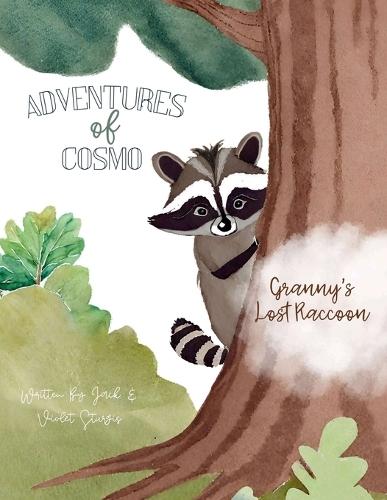 Adventures of Cosmo: Granny's Lost Raccoon
