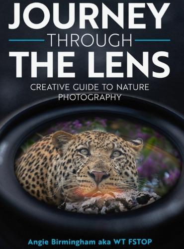 Journey Through The Lens: Creative Guide to Nature Photography