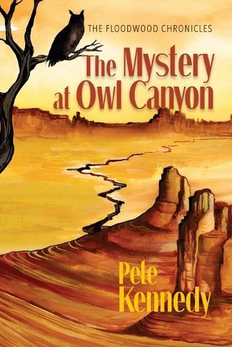 The Mystery at Owl Canyon