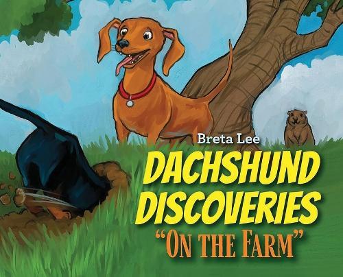 Dachshund Discoveries: ""On The Farm""