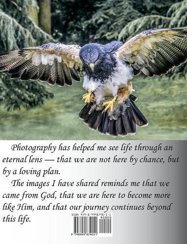 God Wants Us Back - And This Is His Plan