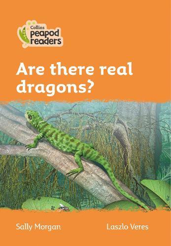 Are there real dragons?: Level 4