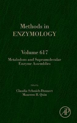 Metabolons and Supramolecular Enzyme Assemblies
