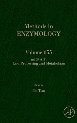 mRNA 3’ End Processing and Metabolism