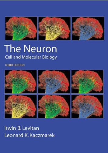 The Neuron: Cell and Molecular Biology