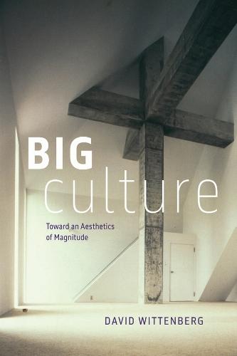 Big Culture: Toward an Aesthetics of Magnitude