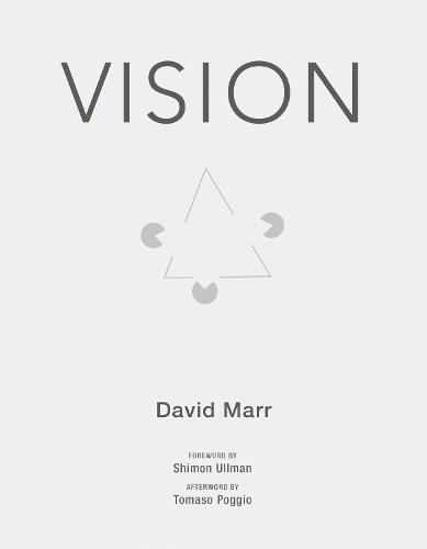 Vision: A Computational Investigation into the Human Representation and Processing of Visual Information