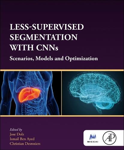 Less-Supervised Segmentation with CNNs: Scenarios, Models and Optimization