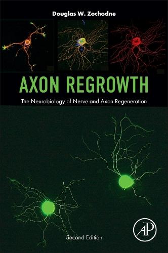 Axon Regrowth: The Neurobiology of Nerve and Axon Regeneration