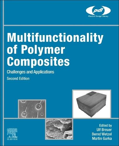 Multifunctionality of Polymer Composites: Challenges and Applications