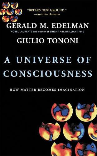 A Universe Of Consciousness How Matter Becomes Imagination: How Matter Becomes Imagination
