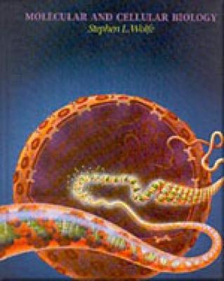 Molecular and Cellular Biology
