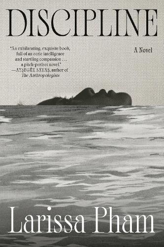 Discipline: A Novel