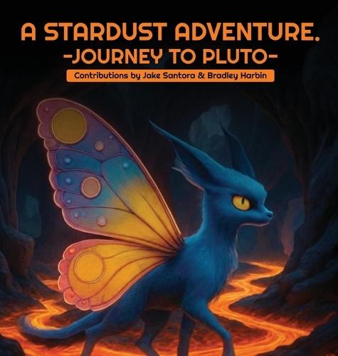 A Stardust Adventure: Journey to Pluto