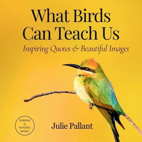 What Birds Can Teach Us: Inspiring Quotes & Beautiful Images