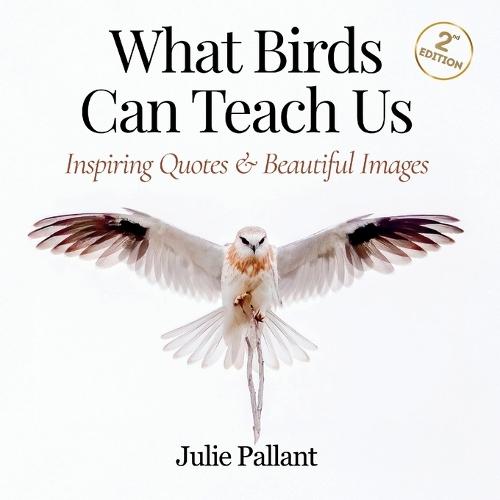 What Birds Can Teach Us: Inspiring Quotes and Beautiful Images