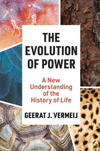 The Evolution of Power: A New Understanding of the History of Life