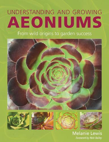 Understanding and Growing Aeoniums: From wild origins to garden success