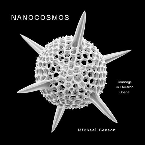 Nanocosmos: Journeys in Electron Space