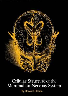The Cellular Structure of the Mammalian Nervous System