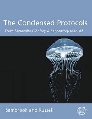 Condensed Protocols: From Molecular Cloning: a Laboratory Manual