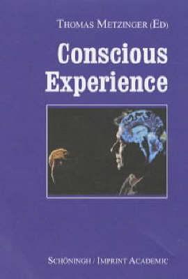 Conscious Experience