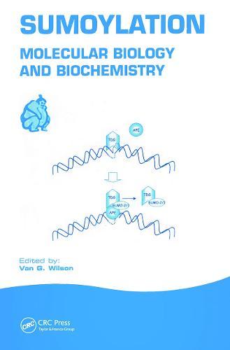 Sumoylation: Molecular Biology and Biochemistry