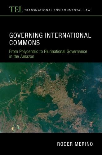 Governing International Commons: From Polycentric to Plurinational Governance in the Amazon