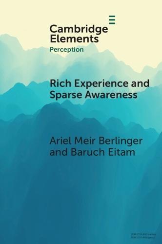 Rich Experience and Sparse Awareness: Sensing More Than We Know