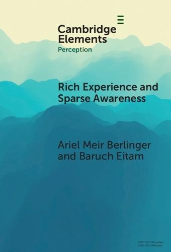 Rich Experience and Sparse Awareness: Sensing More Than We Know