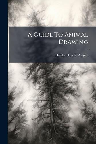 A Guide To Animal Drawing