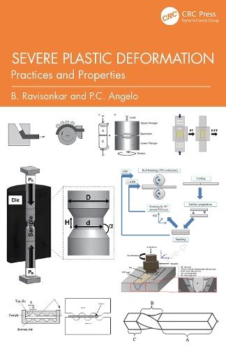 Severe Plastic Deformation: Practices and Properties