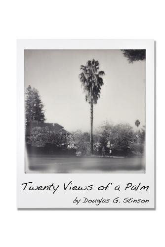 Twenty Views of a Palm