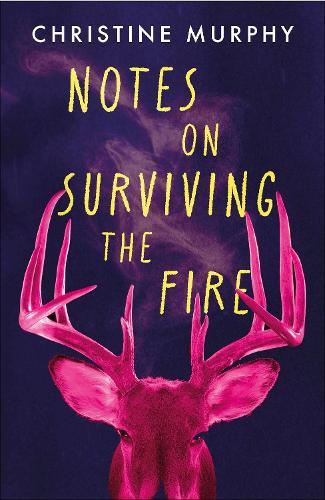 Notes on Surviving the Fire: A razor-sharp, darkly funny literary novel about male violence, a woman's vengeance, and whether killing can ever be justified
