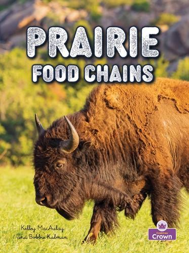 Prairie Food Chains