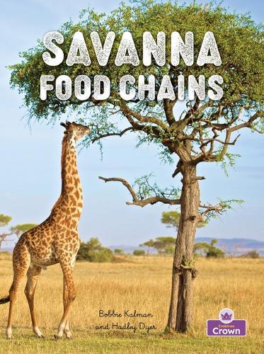 Savanna Food Chains