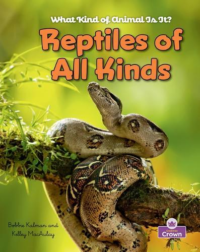 Reptiles of All Kinds