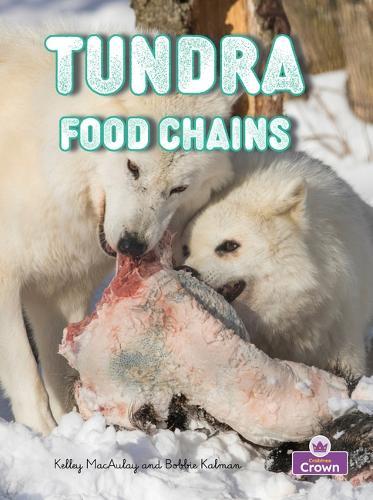 Tundra Food Chains