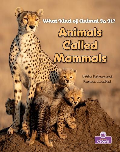 Animals Called Mammals