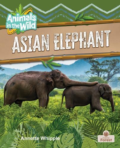 Asian Elephant