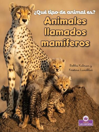Animales Llamados Mamíferos (Animals Called Mammals)