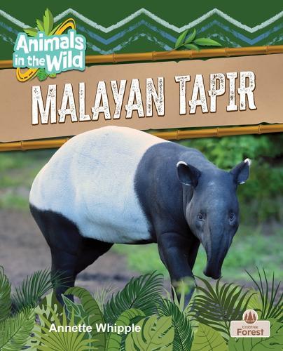 Malayan Tapir