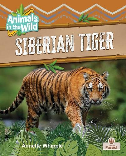 Siberian Tiger
