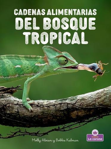 Cadenas Alimentarias del Bosque Tropical (Rainforest Food Chains)