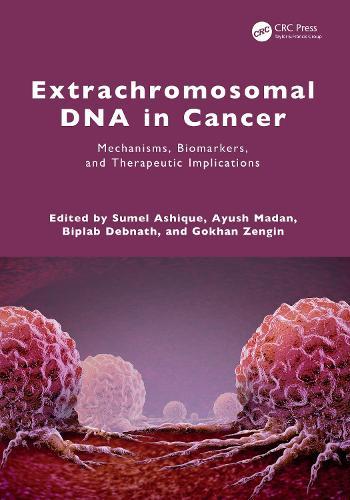 Extrachromosomal DNA in Cancer: Mechanisms, Biomarkers, and Therapeutic Implications