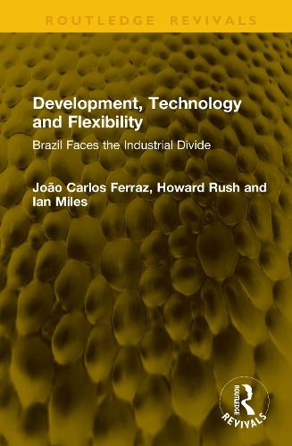 Development, Technology and Flexibility: Brazil Faces the Industrial Divide