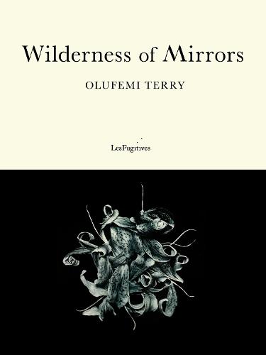 Wilderness of Mirrors