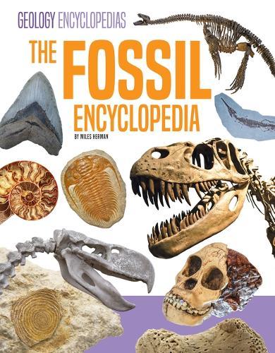 Fossil Encyclopedia
